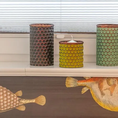 Granitz Muschelsucher